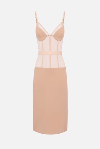 Nude Sheer Panel Dress