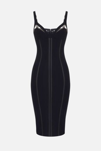 Sheer  Bodycon Midi Dress